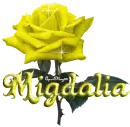 yellow rose migdalia