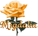 orange rose migdalia