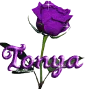 purple rose tonya