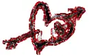 red heart