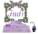 Judi