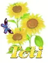 toti sun flower
