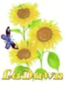 ladawn sun flower