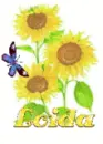 loida sun flower