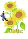 rita sun flower