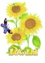 roni sun flower