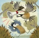 birds