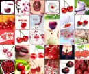 CHERRY COLLAGE 2009