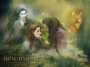 new moon