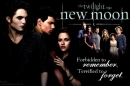 twilight new moon