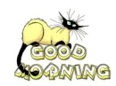 morning