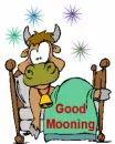 morning