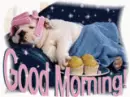 morning
