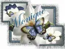 Magnolias and Butterfly - Monique