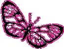 pink butterfly