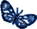 blue butterfly