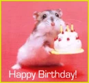 Hamster birthday
