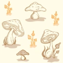 Mushroom Group