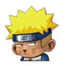 Naruto Monkey