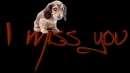 MISS YOU MY ANGEL