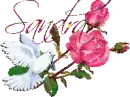 Dove - Sandra