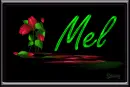 Evening Tulips: Mel