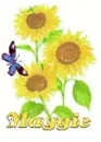 maggie sun flower