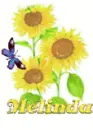 melinda sun flower