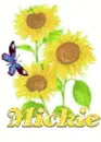 mickie sun flower
