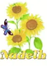 nadeth sun flower.