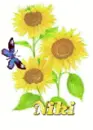 niki sun flower