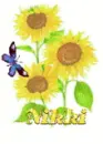 nikki sun flower