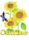 ondine sun flower