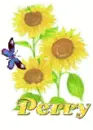 perry sun flower