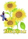 raluca sun flower