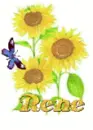 rene sun flower