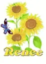 renee sun flower