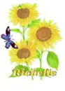 richelle sun flower