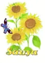 sanya sun flower