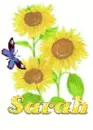 sarah sun flower