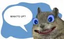 what's up?