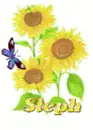 steph sun flower