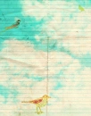 vintage birds