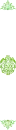 border