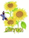 mayudi sun flower