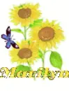 marilyn sun flower