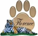 Tiger with paw print - Florence