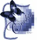 Blue pearls with butterfly - Cookie