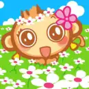 cici-flowers