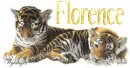Tiger Cubs - Florence